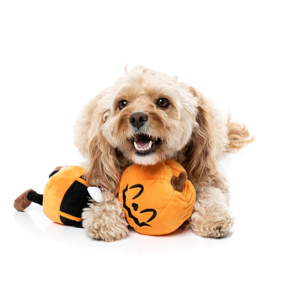 Hundespielzeug Halloween Michael Gourdan