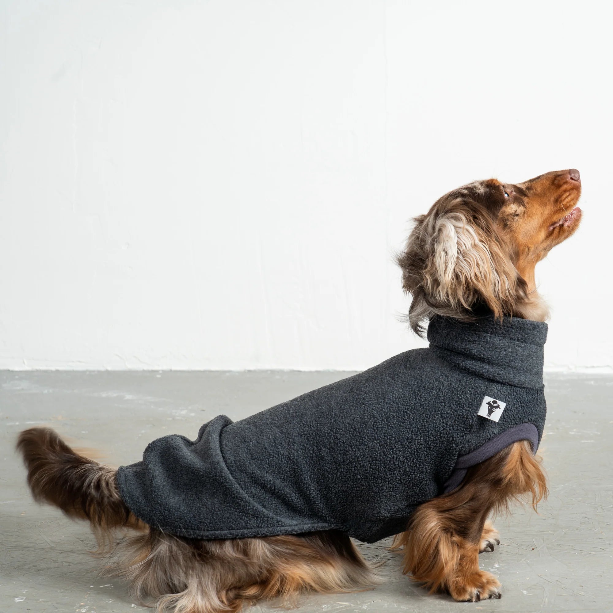 Fleece Shirt für Dackel Anthrazit