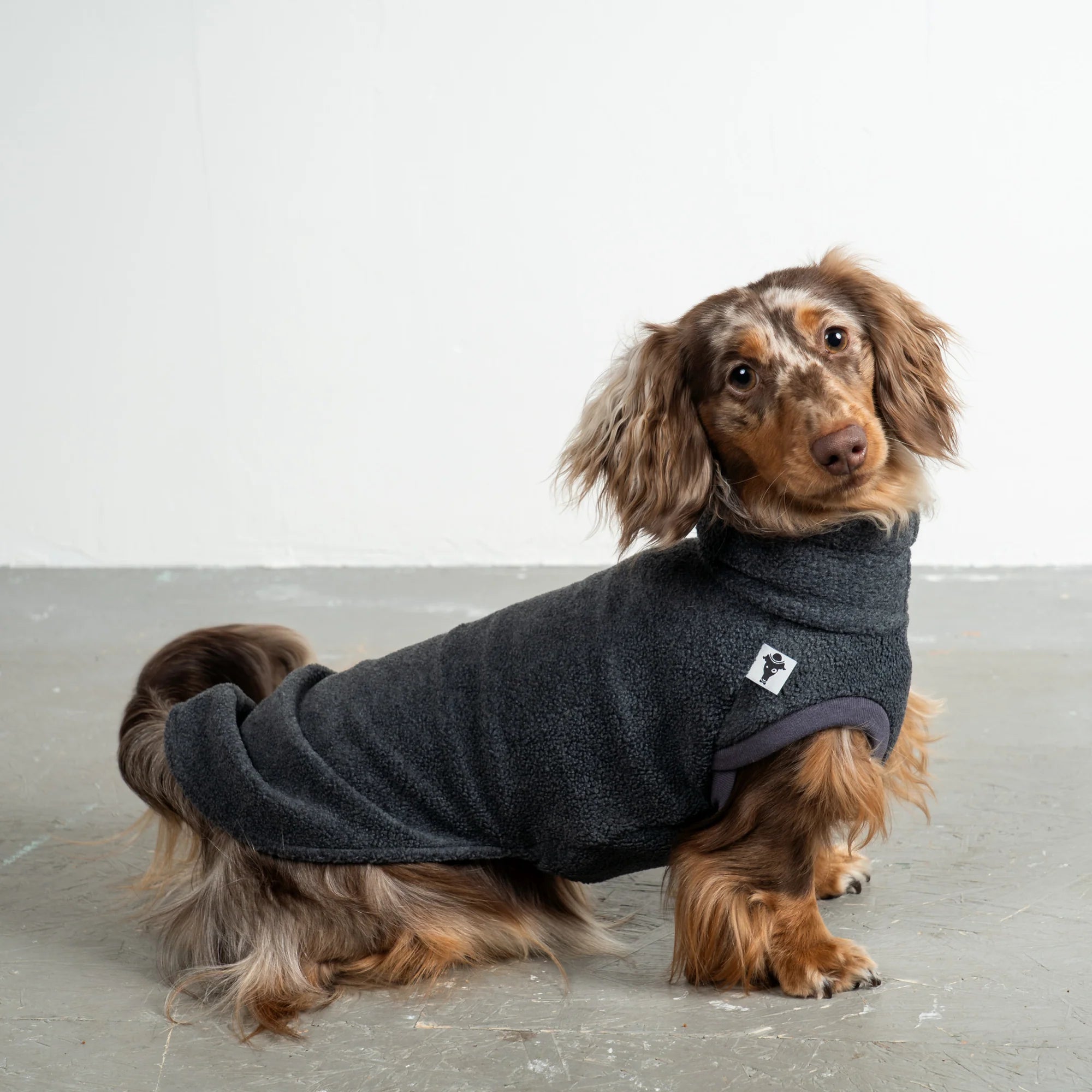 Fleece Shirt für Dackel Anthrazit