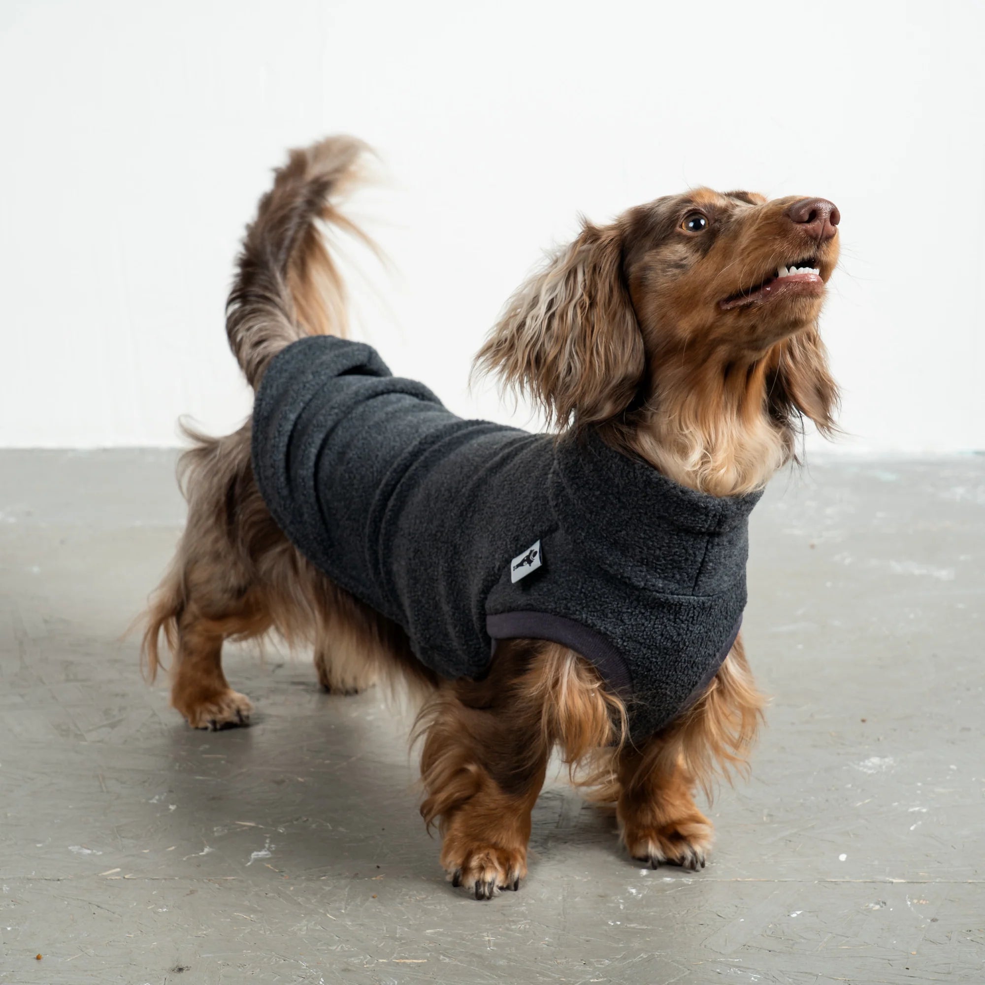 Fleece Shirt für Dackel Anthrazit