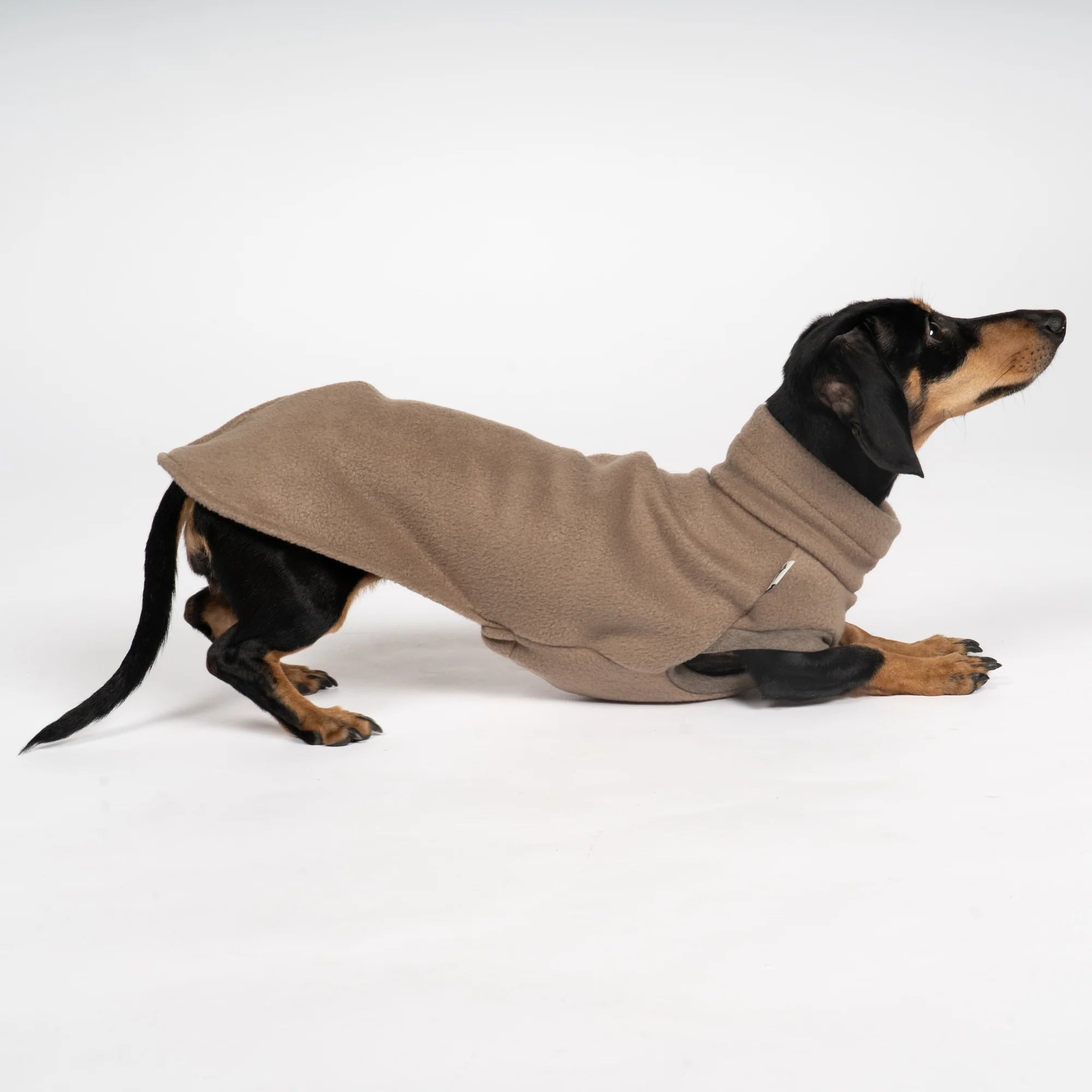 Fleece Shirt für Dackel Walnut