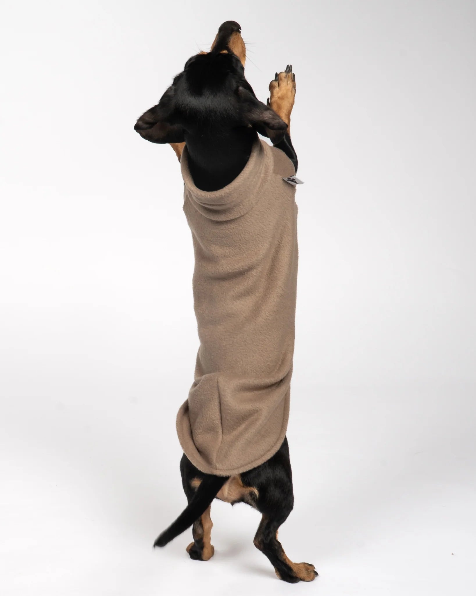 Fleece Shirt für Dackel Walnut