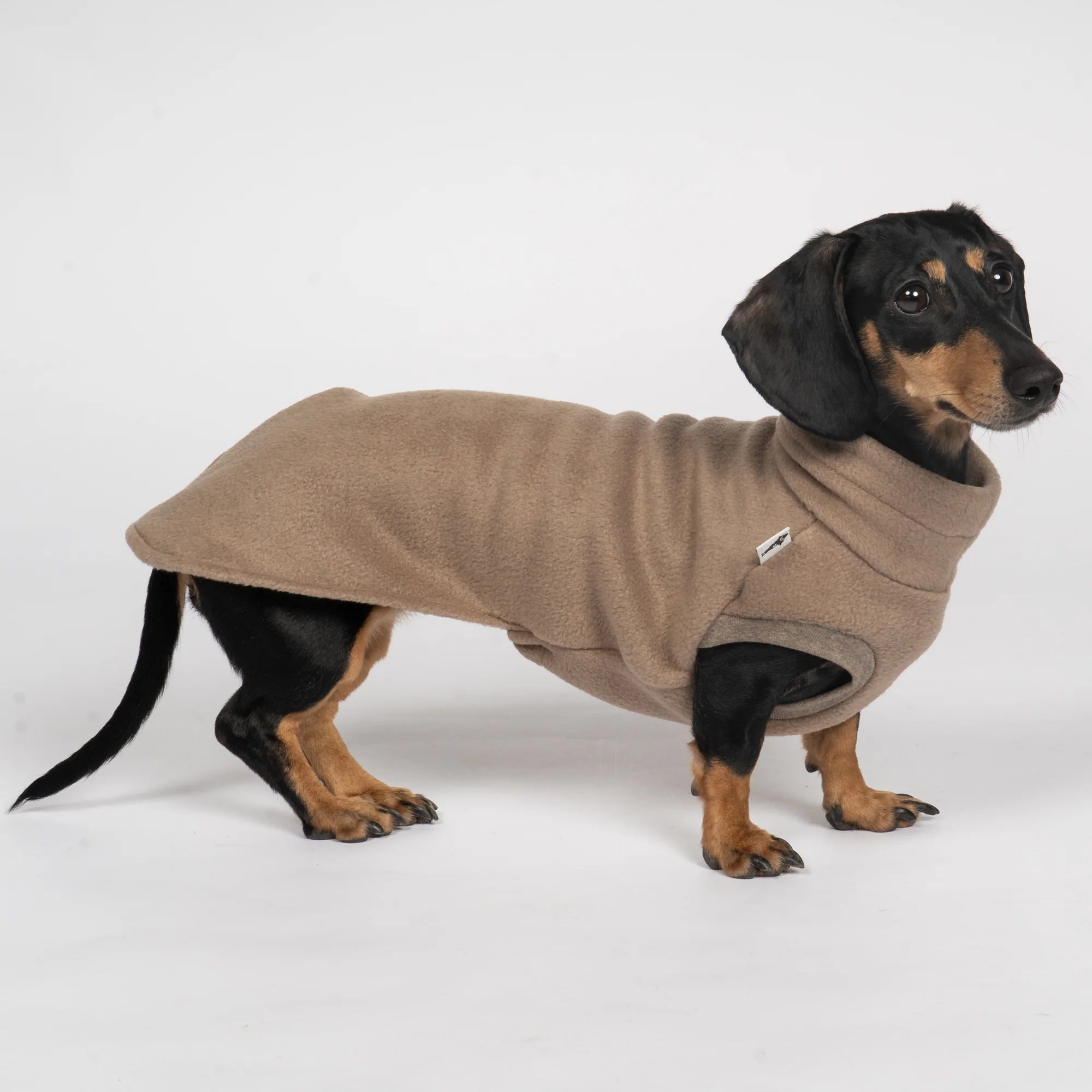 Fleece Shirt für Dackel Walnut