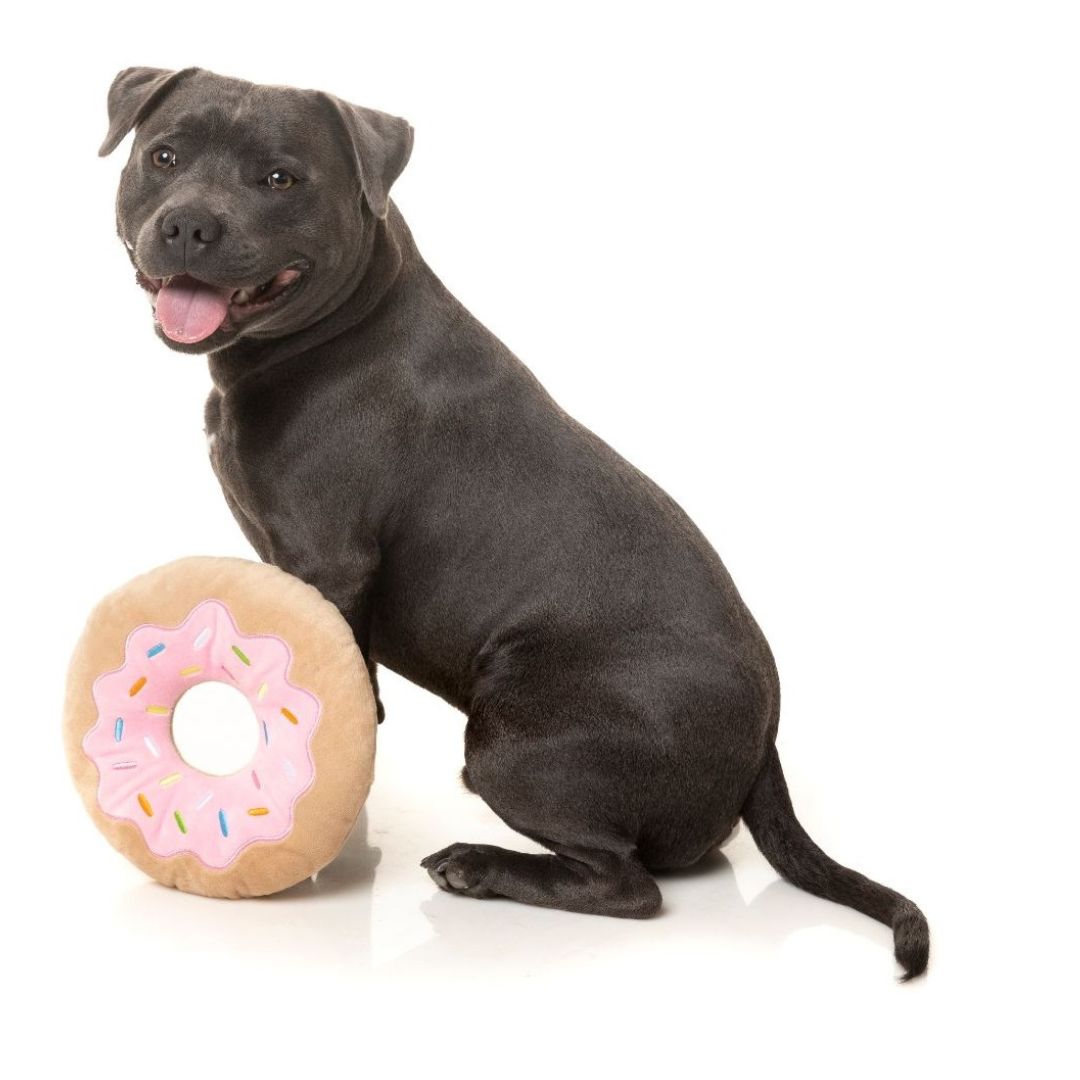 FuzzYard-Hundespielzeug-Giant-Donut-Hund