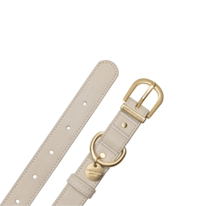 Fuzzyard-Hundehalsband-Atelier-Sandstone-L-Detail
