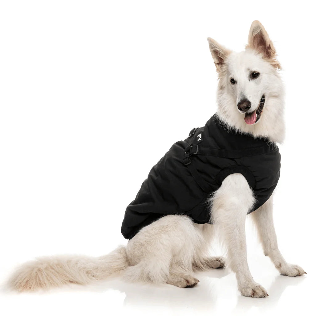 Fuzzyard-Hundemantel-Jacket-Flash-Black-Hund2