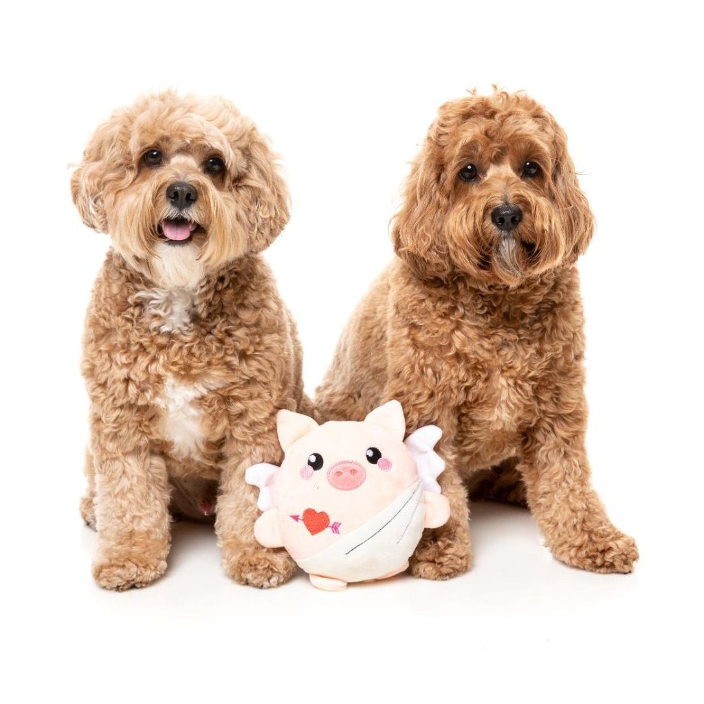 Fuzzyard-Hundepielzeug-Valentin-Cu-Pig-Hund2