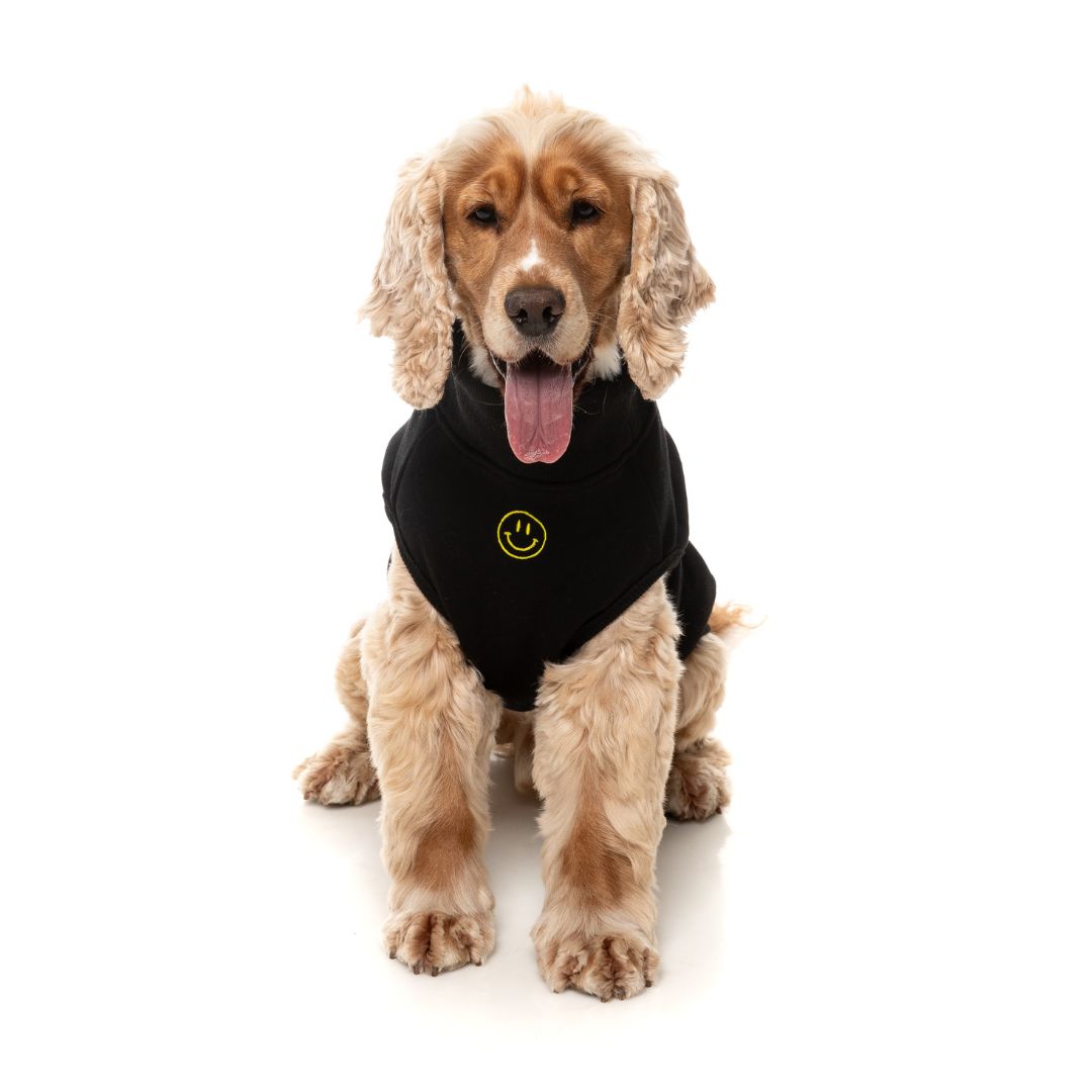 Fuzzyard-Hundepullover-Sweater-Smiley-Black-Hund4