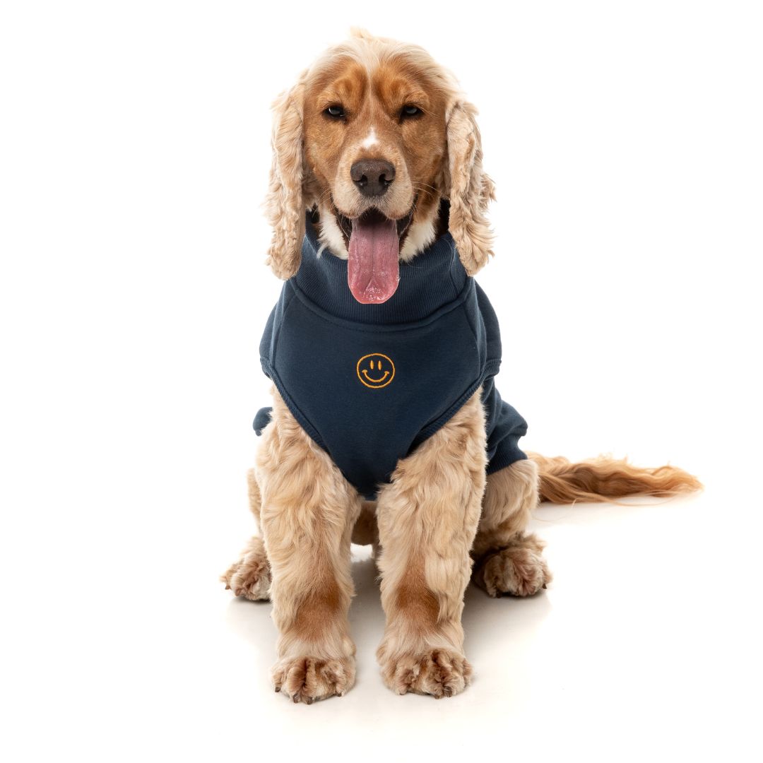 Fuzzyard-Hundepullover-Sweater-Smiley-Navy-Hund3