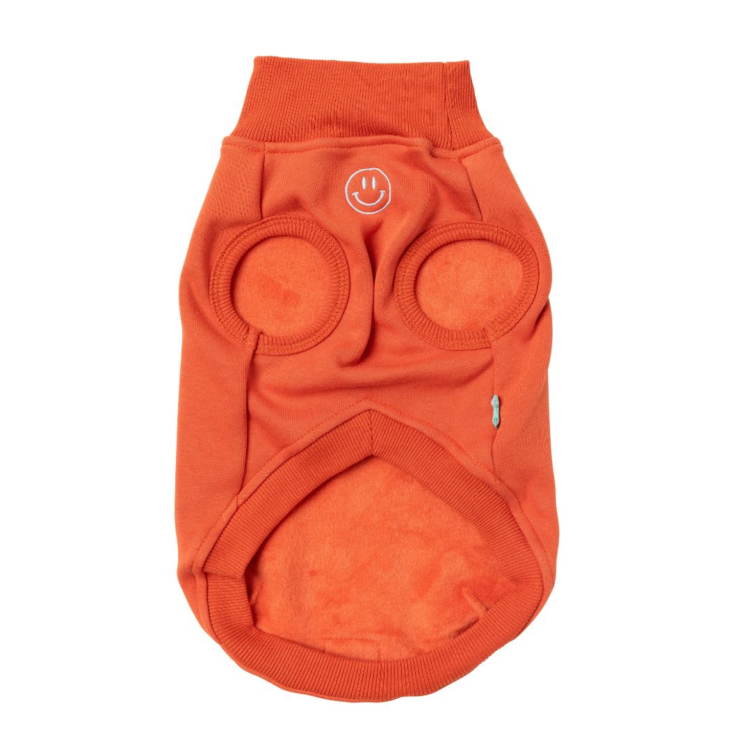 Fuzzyard-Hundepullover-Sweater-Smiley-Rust-2