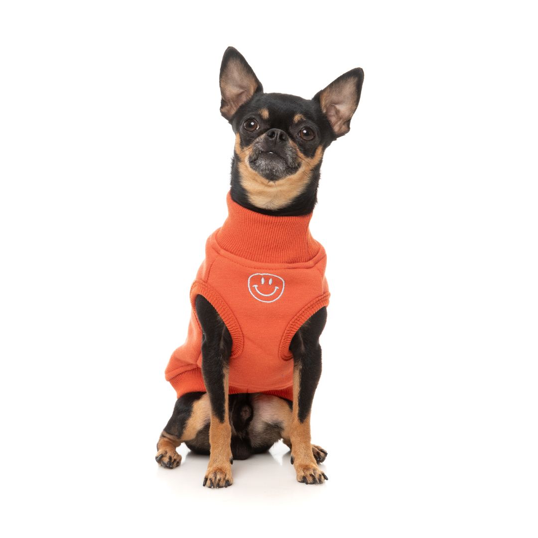 Fuzzyard-Hundepullover-Sweater-Smiley-Rust-Hund2