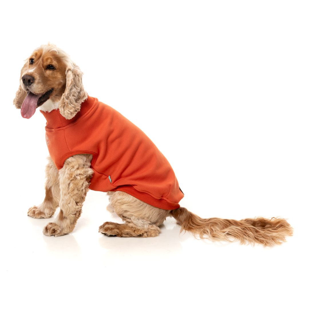Fuzzyard-Hundepullover-Sweater-Smiley-Rust-Hund3