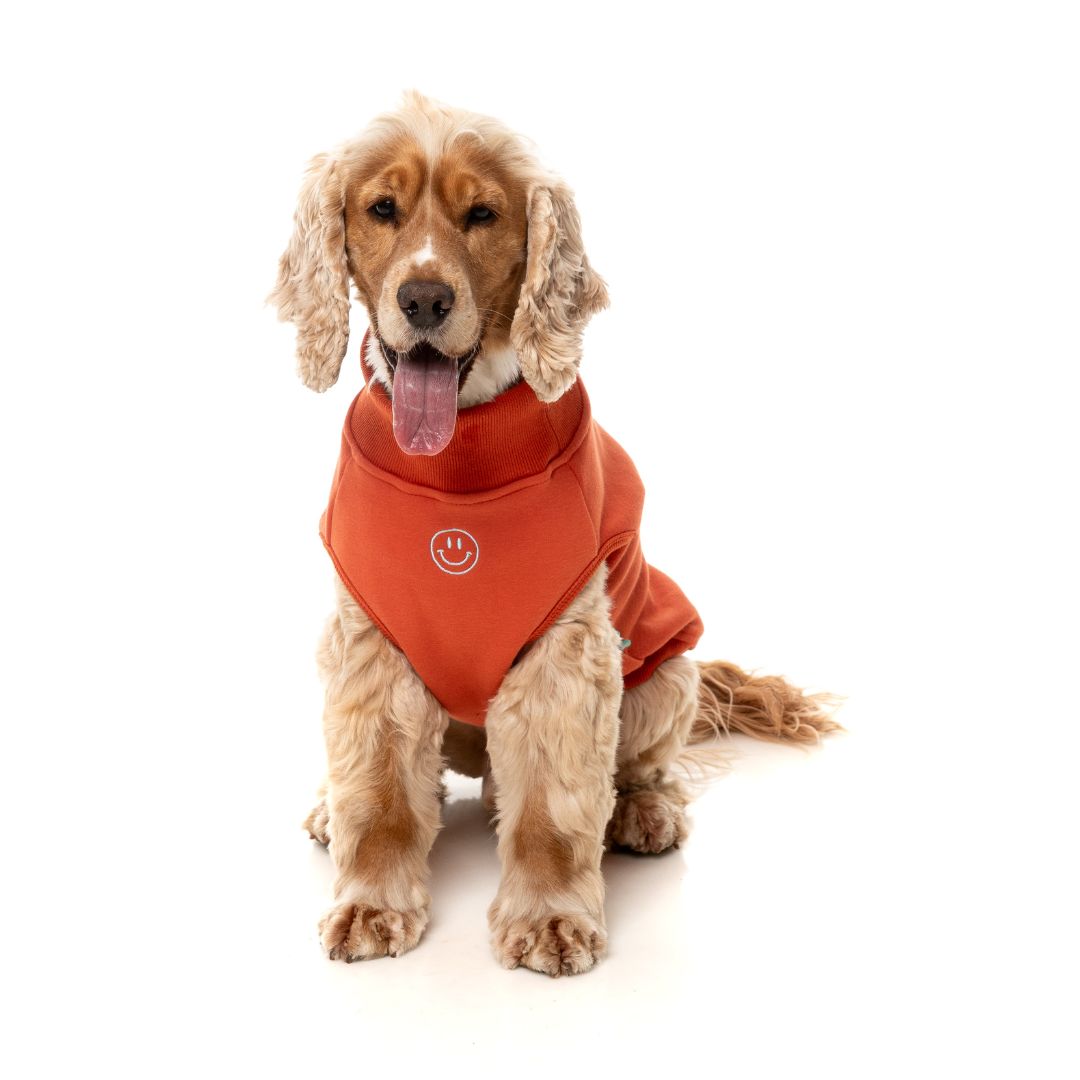 Fuzzyard-Hundepullover-Sweater-Smiley-Rust-Hund4