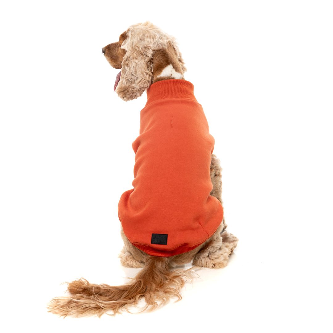 Fuzzyard-Hundepullover-Sweater-Smiley-Rust-Hund6