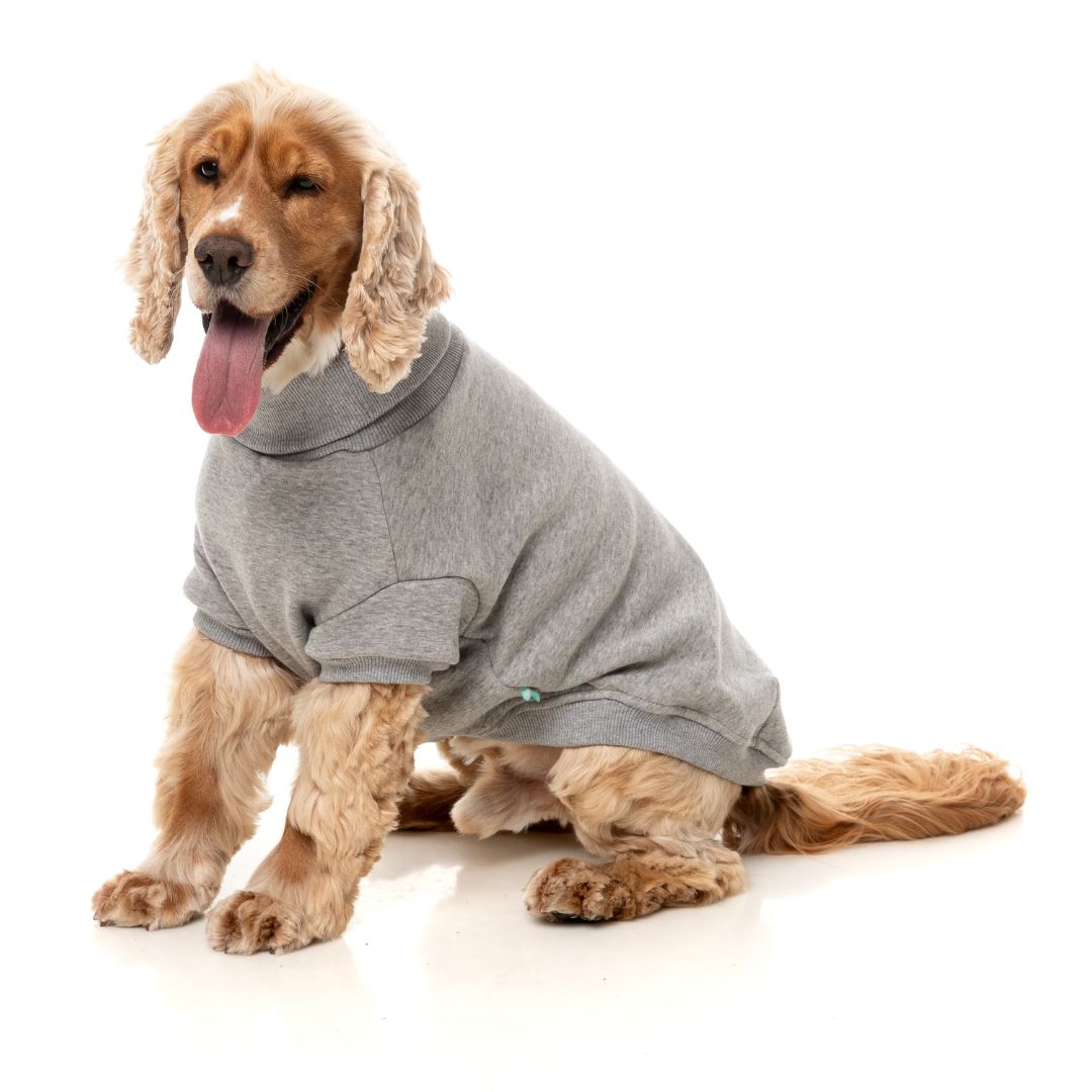 Fuzzyard-Hundepullover-Sweater-Stevie-Grey-Hund