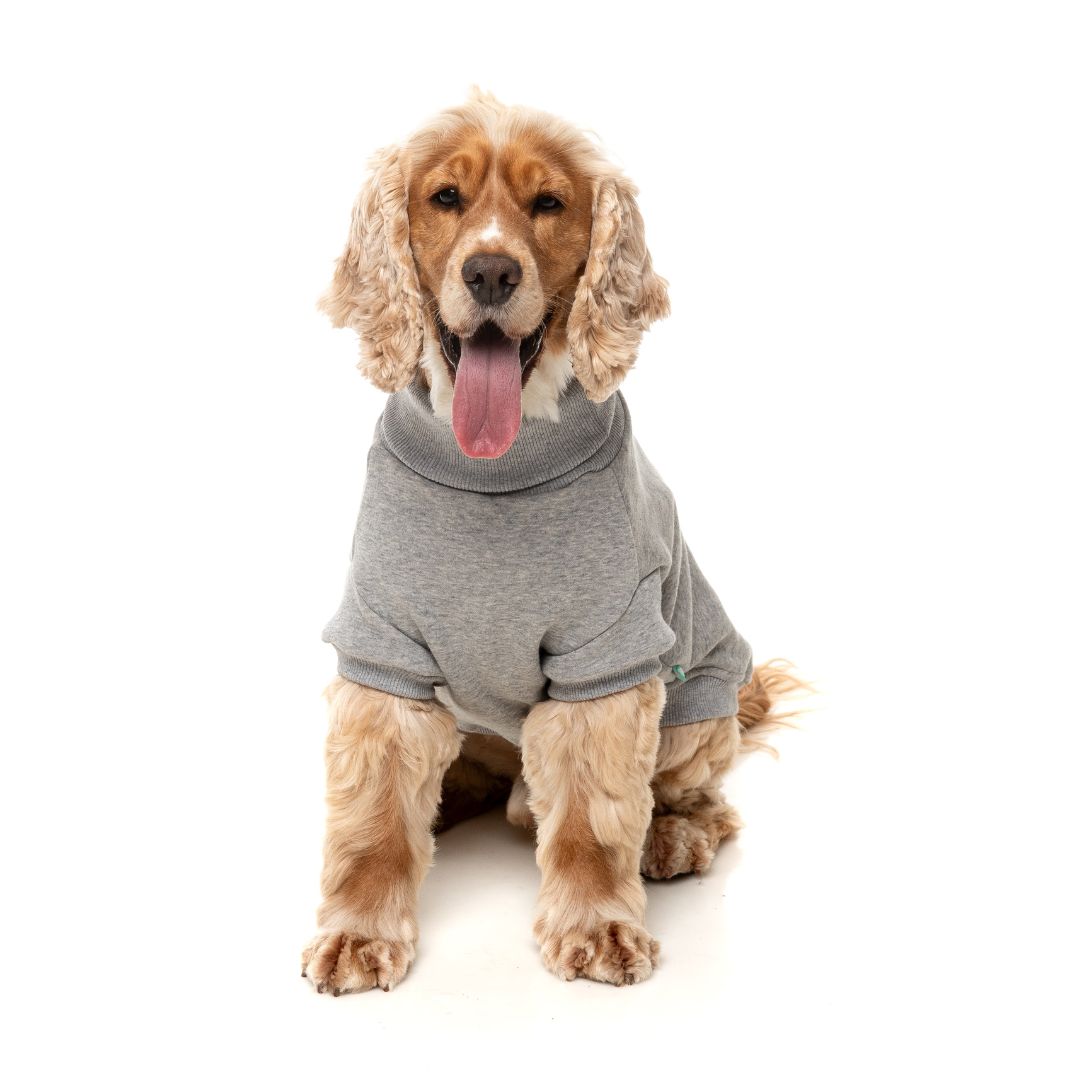 Fuzzyard-Hundepullover-Sweater-Stevie-Grey-Hund2