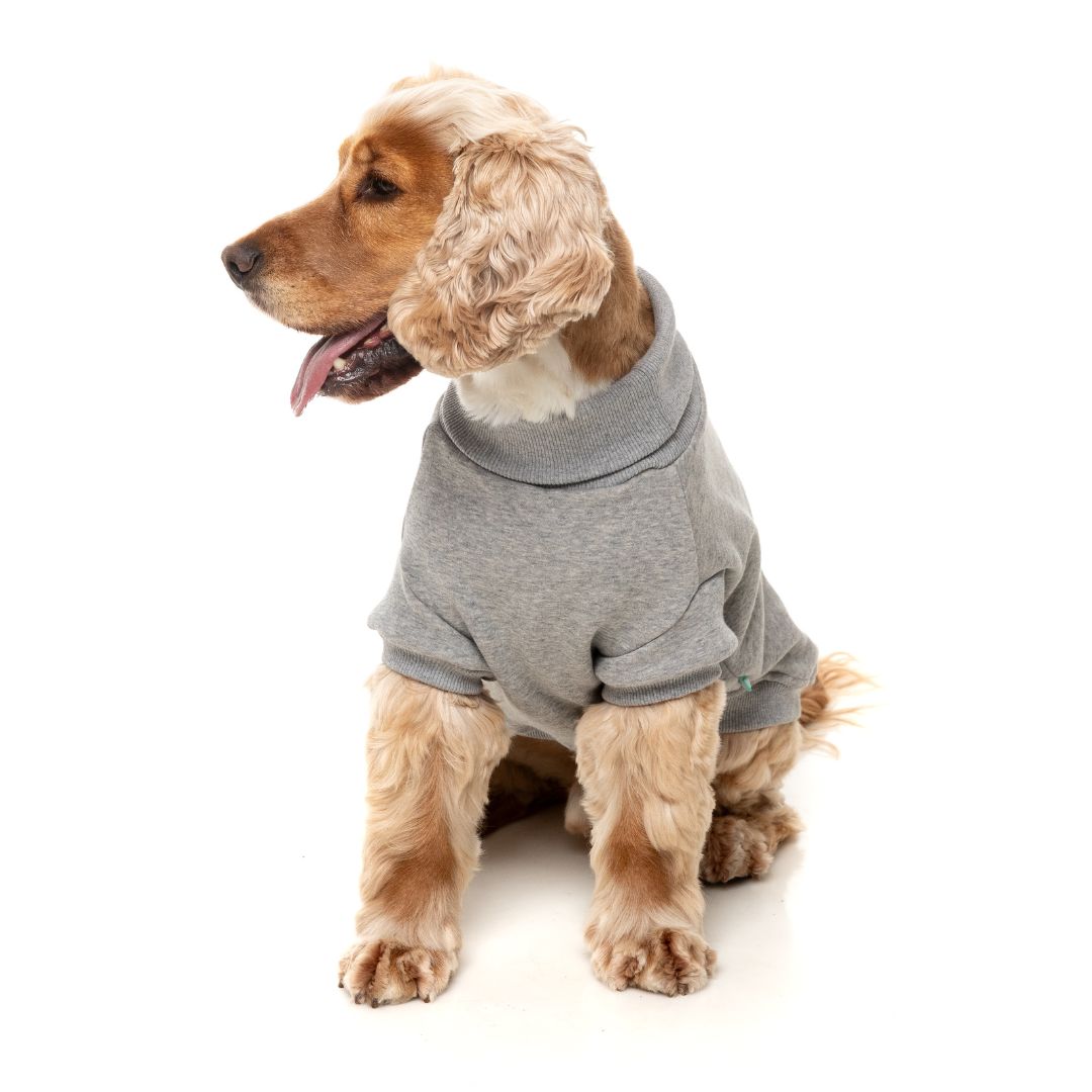 Fuzzyard-Hundepullover-Sweater-Stevie-Grey-Hund3