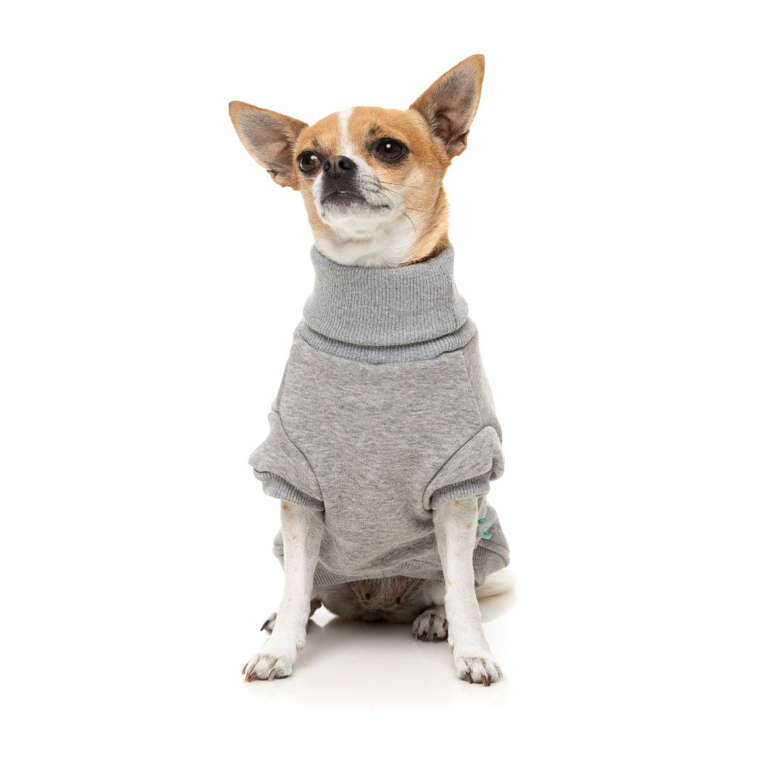 Fuzzyard-Hundepullover-Sweater-Stevie-Grey-Hund5