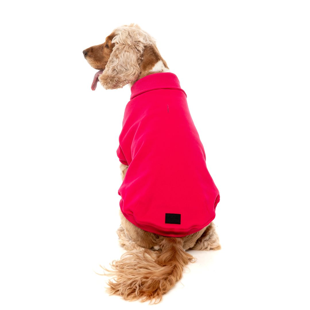 Fuzzyard-Hundepullover-Sweater-Stevie-Magenta-Hund