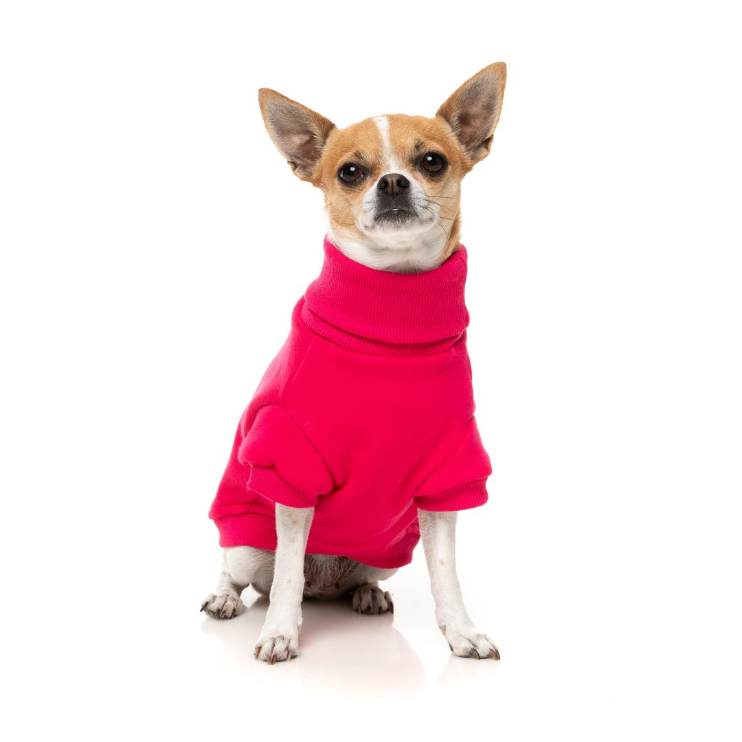 Fuzzyard-Hundepullover-Sweater-Stevie-Magenta-Hund3