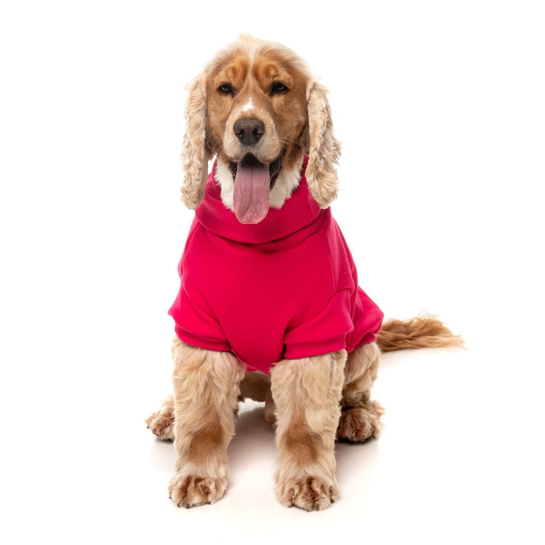 Fuzzyard-Hundepullover-Sweater-Stevie-Magenta-Hund5