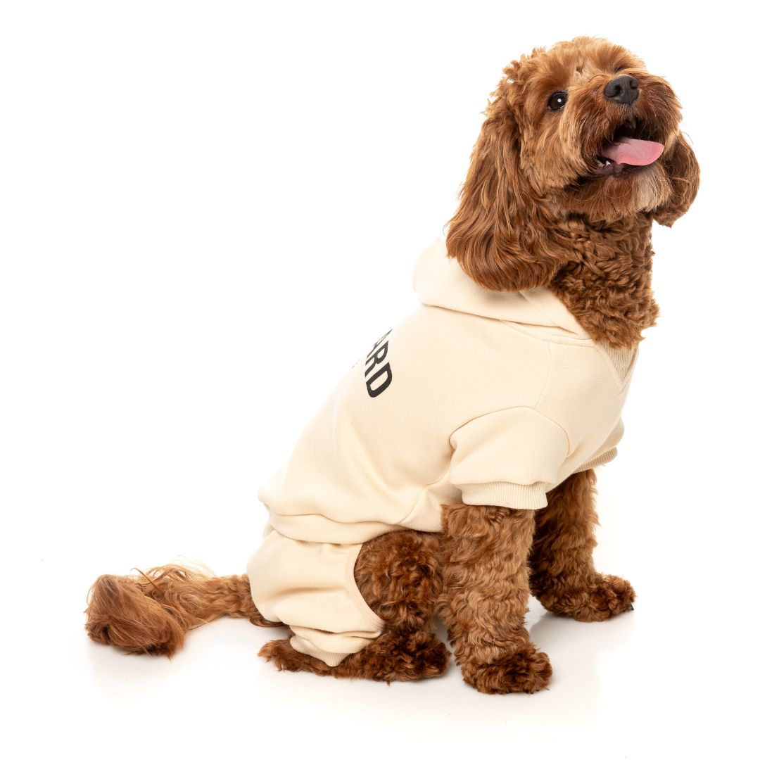 Fuzzyard-Hundepullover-Urban-Tracksuit-Buttermilk-Hund8