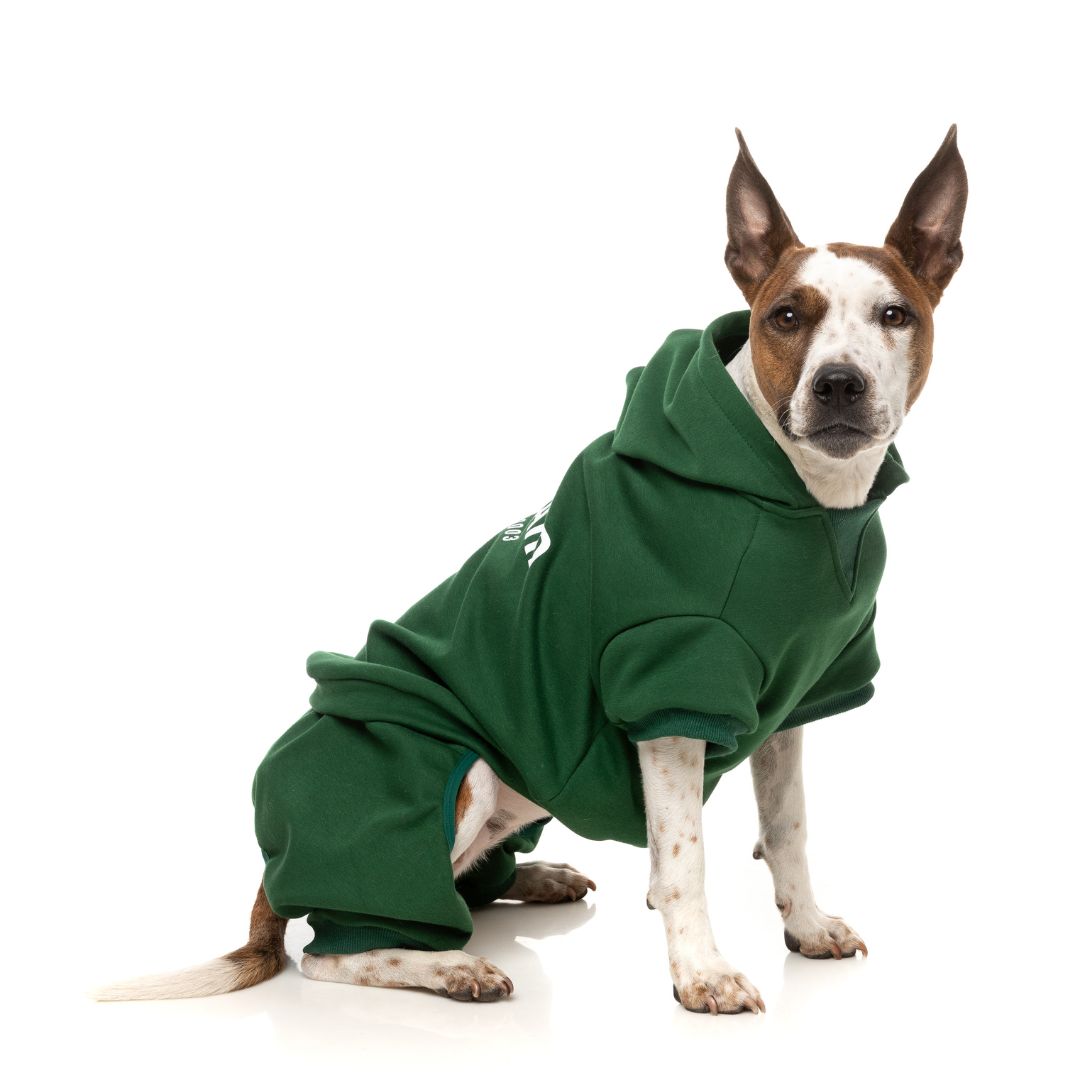 Fuzzyard-Hundepullover-Urban-Tracksuit-Green-Hund9