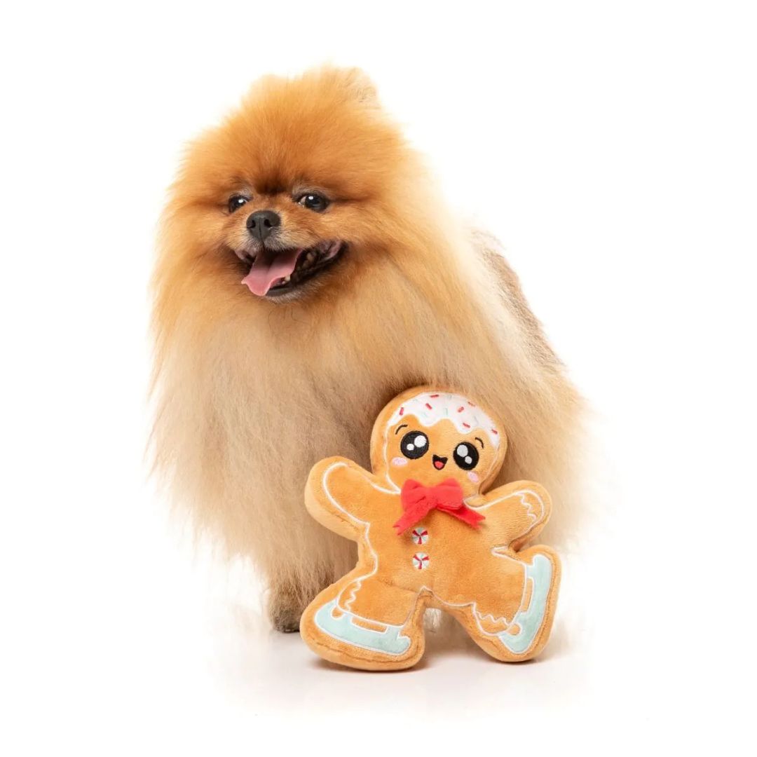Fuzzyard-Hundespielzeug-Biscuit-Blader-Hund