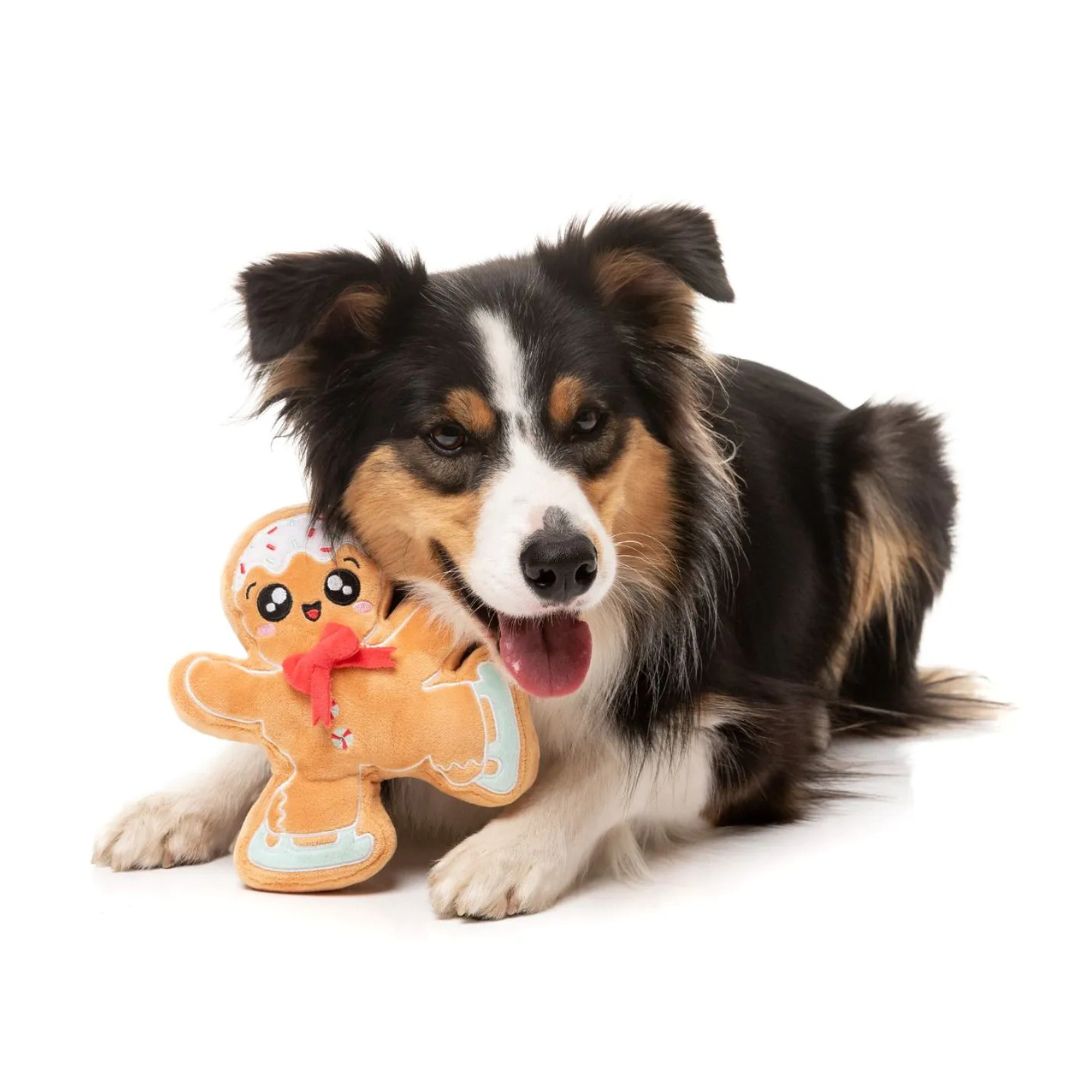 Fuzzyard-Hundespielzeug-Biscuit-Blader-Hund3