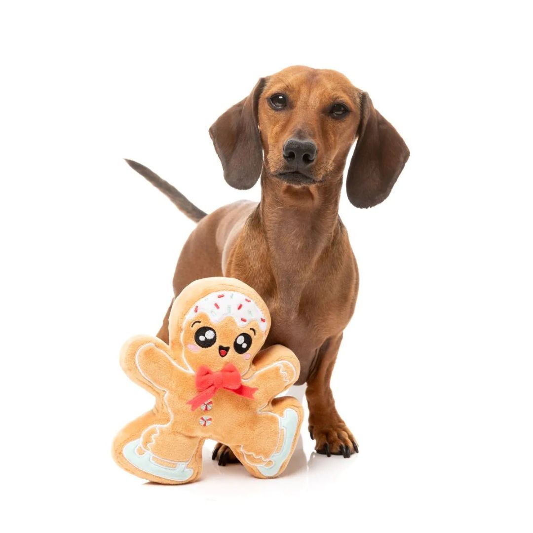 Fuzzyard-Hundespielzeug-Biscuit-Blader-Hund4