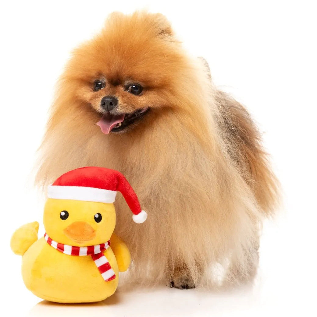 Fuzzyard-Hundespielzeug-FestiveWaddles-Hund2