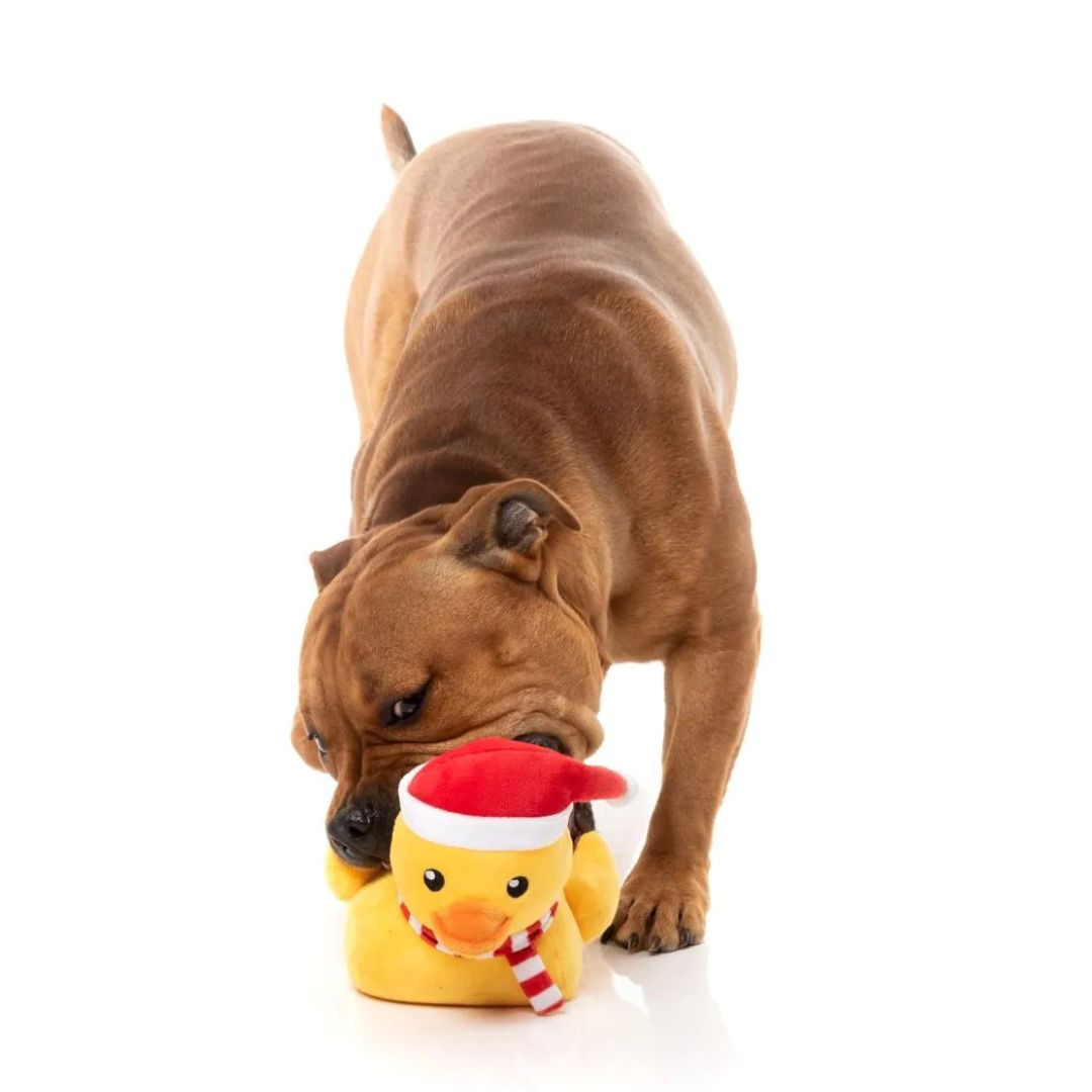 Fuzzyard-Hundespielzeug-FestiveWaddles-Hund3