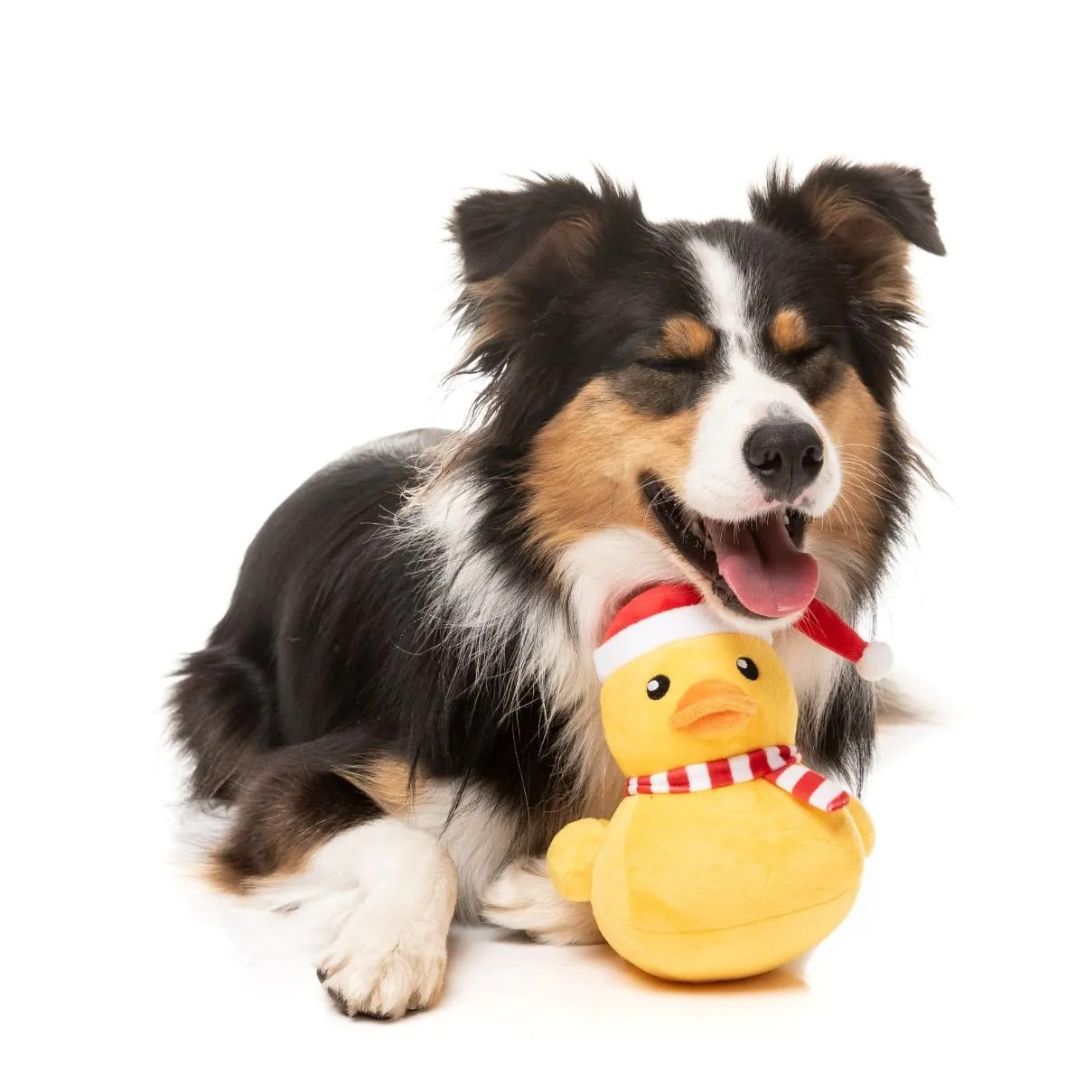 Fuzzyard-Hundespielzeug-FestiveWaddles-Hund4