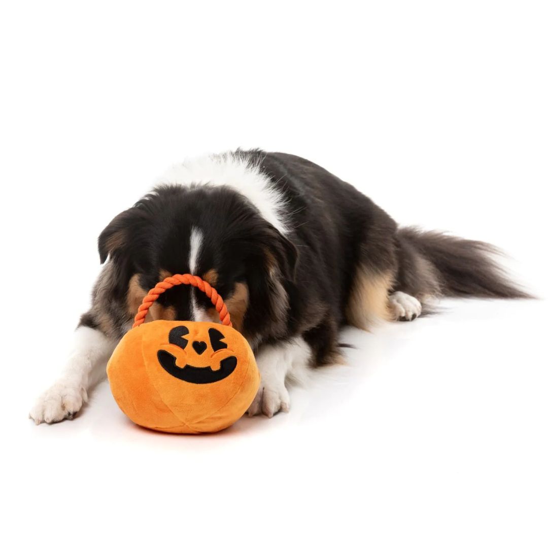 Fuzzyard-Hundespielzeug-Halloween-Trick-or-Treats-Pumpkin-Basket-Hund2