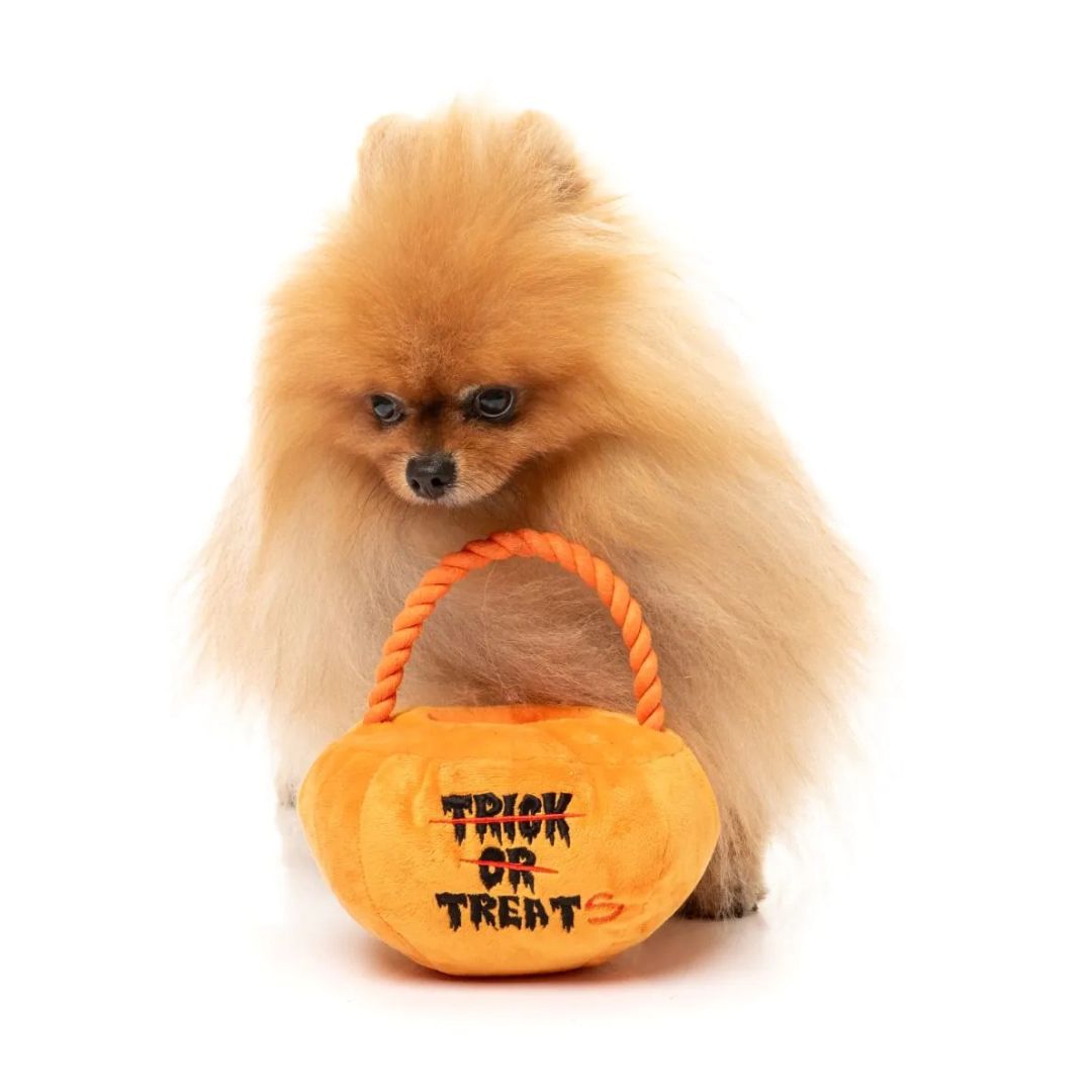 Fuzzyard-Hundespielzeug-Halloween-Trick-or-Treats-Pumpkin-Basket-Hund3