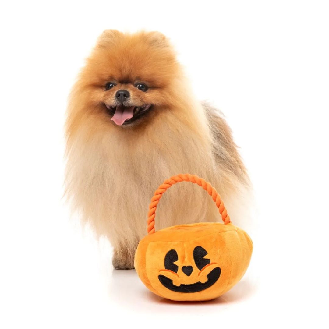 Fuzzyard-Hundespielzeug-Halloween-Trick-or-Treats-Pumpkin-Basket-Hund4