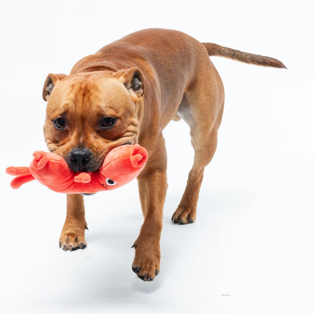 Fuzzyard-Hundespielzeug-Meat-Head-Brad-Wurst-Hund