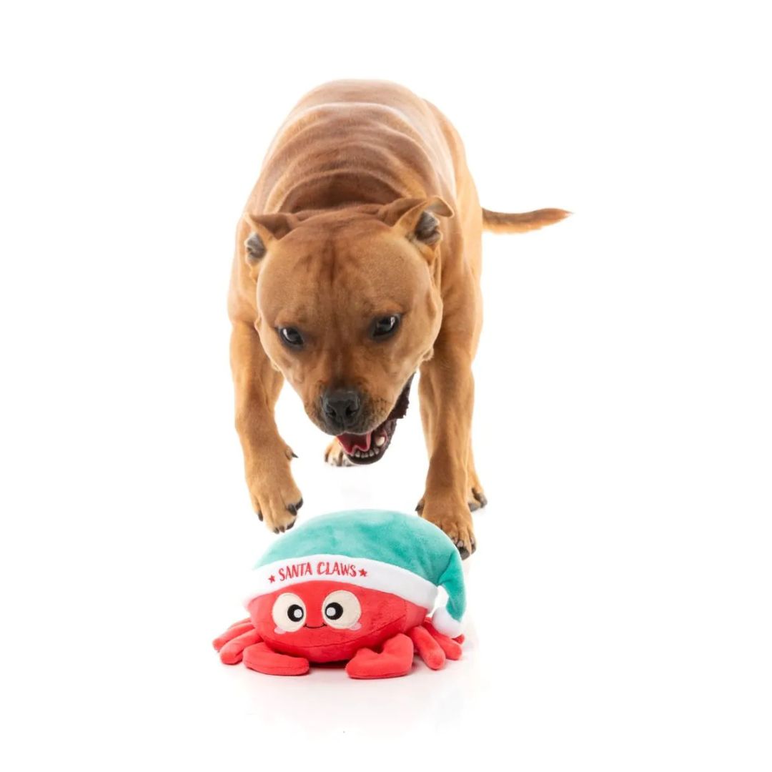 Fuzzyard-Hundespielzeug-Santa-Claws-Hund3