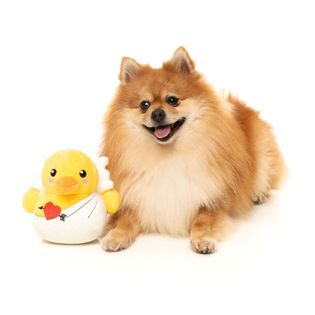 Fuzzyard-Hundespielzeug-Valentin-Cupid-Duck-Hund