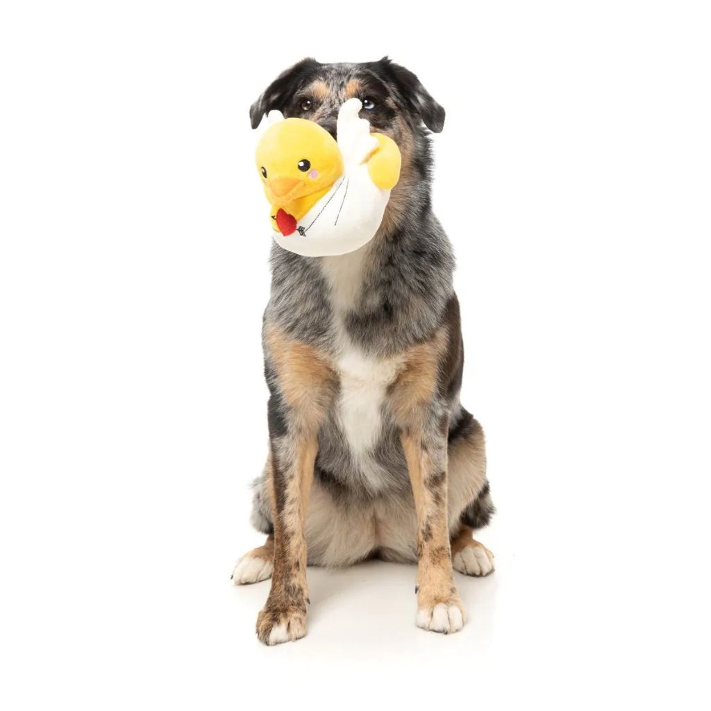 Fuzzyard-Hundespielzeug-Valentin-Cupid-Duck-Hund2