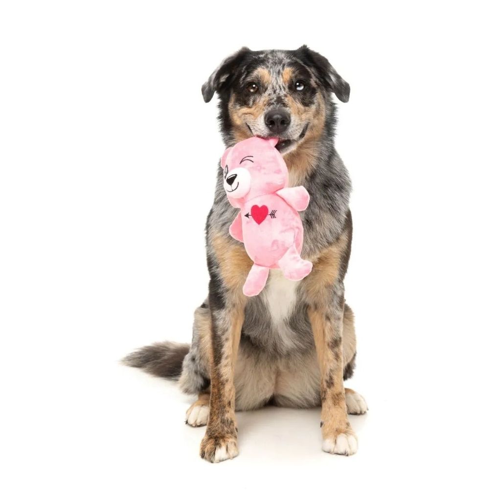 Fuzzyard-Hundespielzeug-Valentin-Nothing-Butt-Love-Bear-Hund