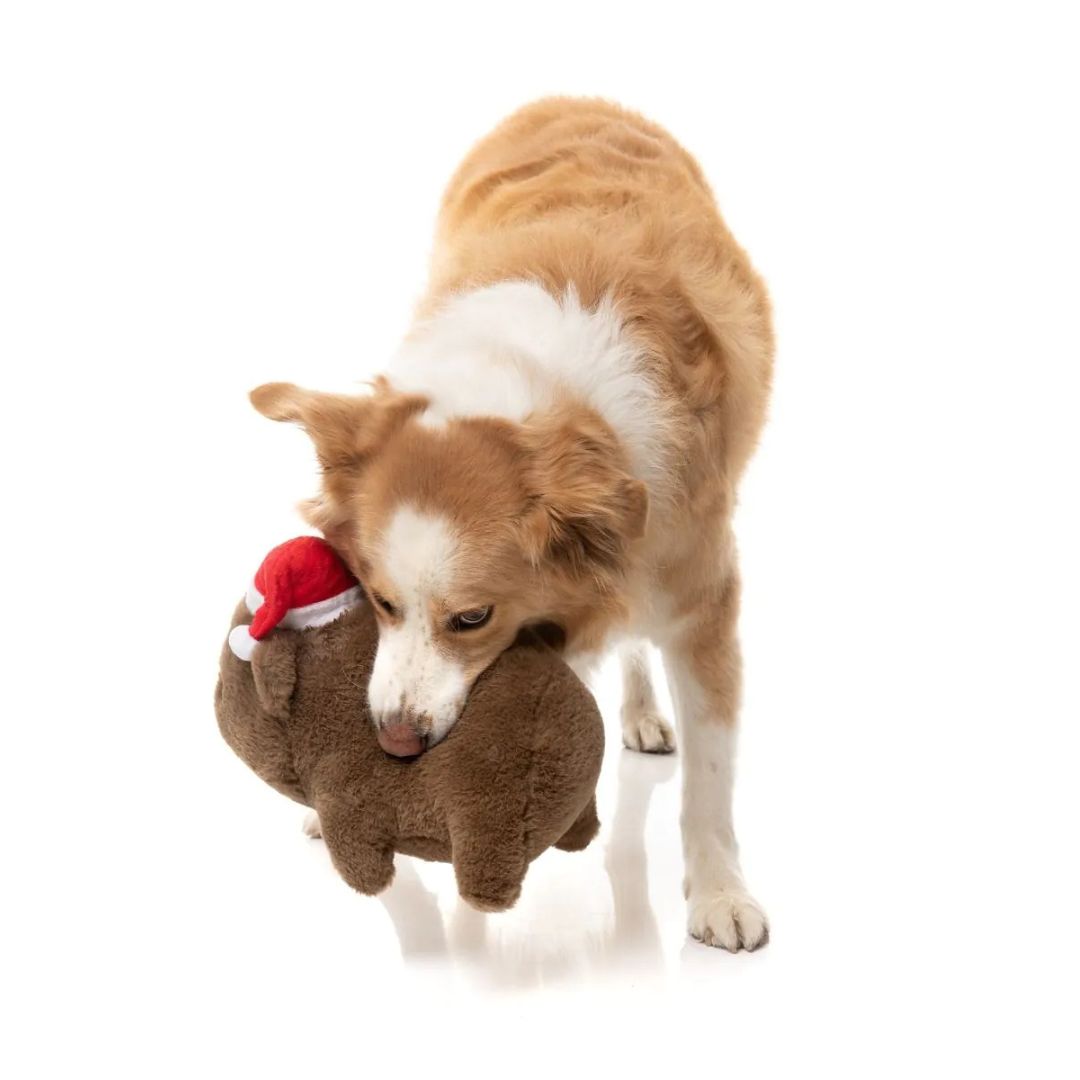 Fuzzyard-Hundespielzeug-Wallace-Wombat-Hund