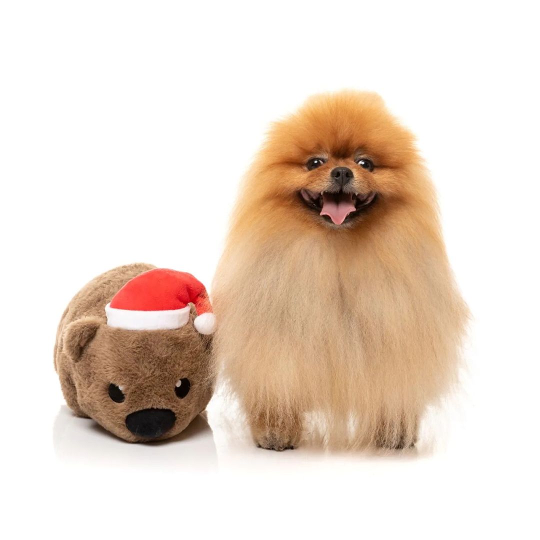 Fuzzyard-Hundespielzeug-Wallace-Wombat-Hund2