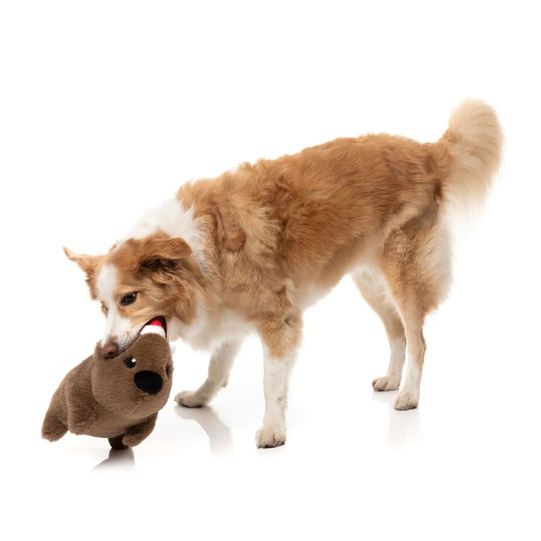 Fuzzyard-Hundespielzeug-Wallace-Wombat-Hund3