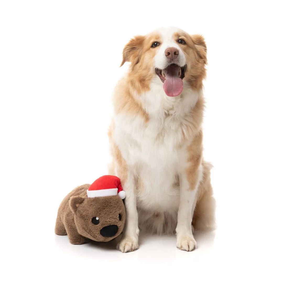 Fuzzyard-Hundespielzeug-Wallace-Wombat-Hund4