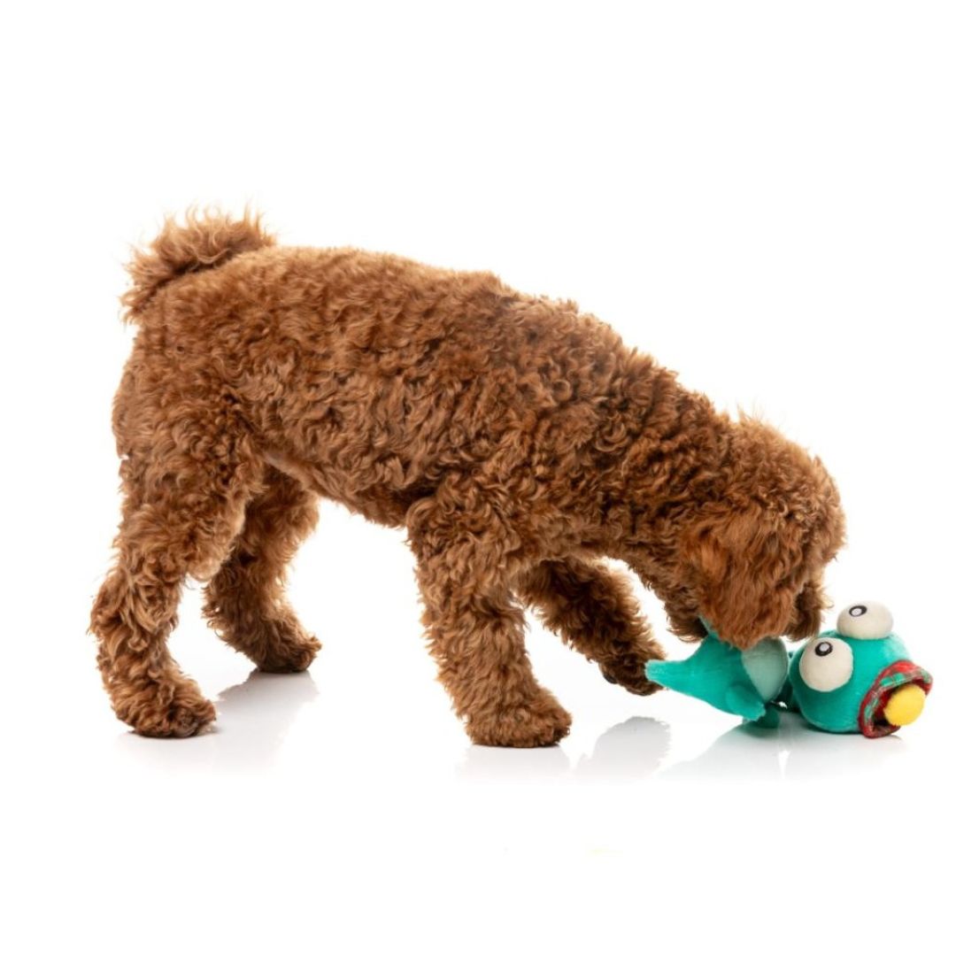 Fuzzyard-Neck-Minnit-Loch-Neck-Monster-Hund4