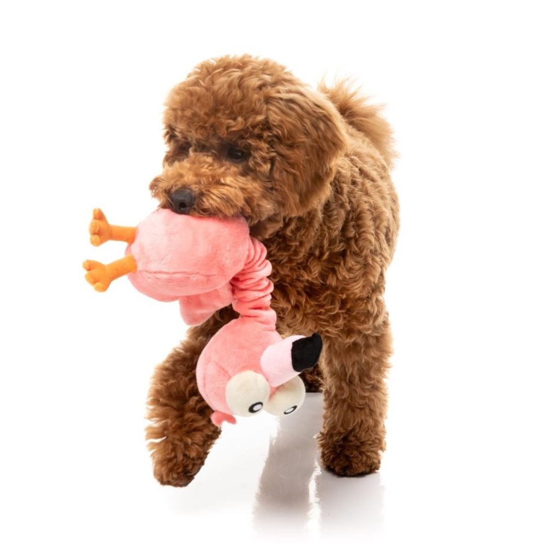 Fuzzyard-Neck-Minnit-Neckole-The-Flamingo-Hund2