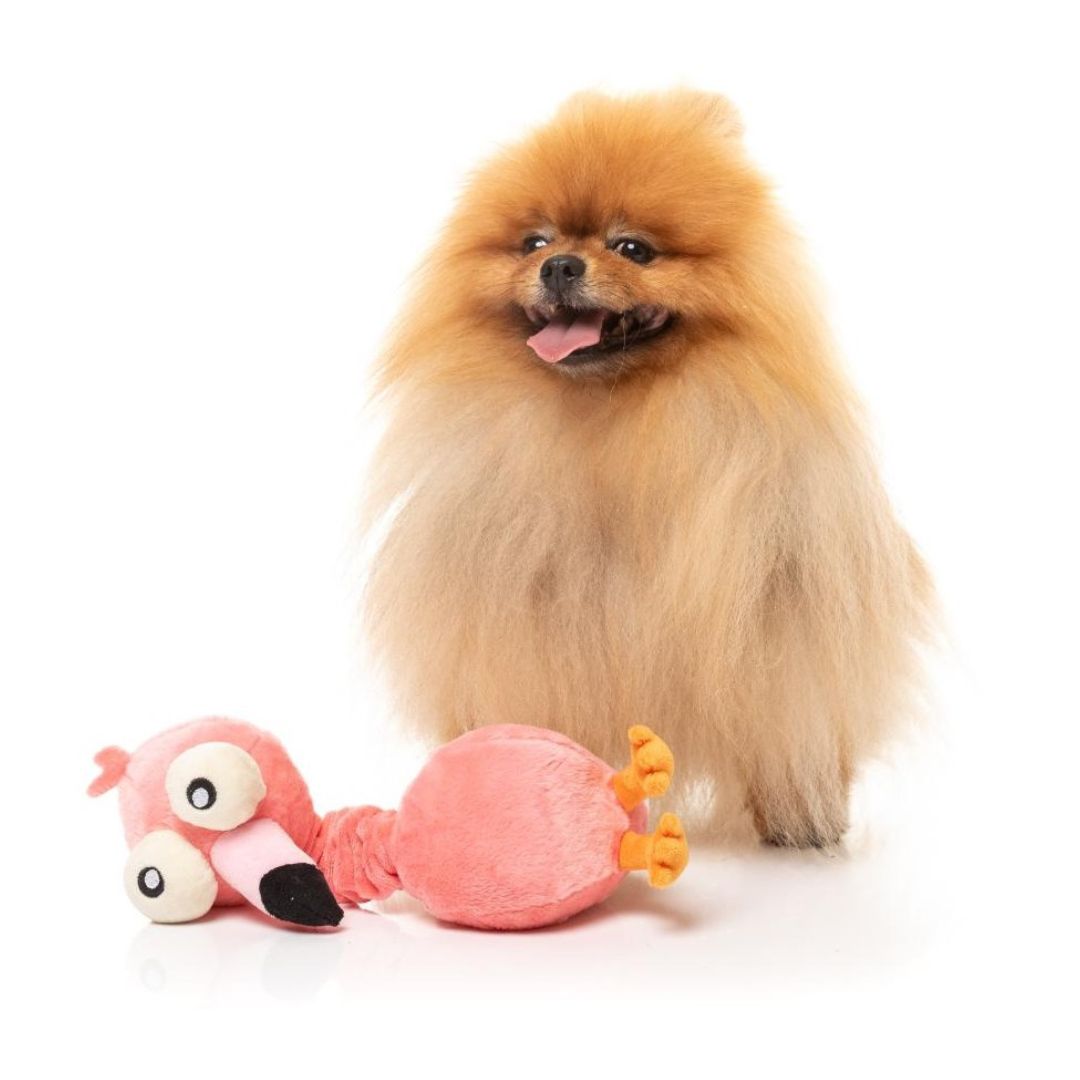 Fuzzyard-Neck-Minnit-Neckole-The-Flamingo-Hund3