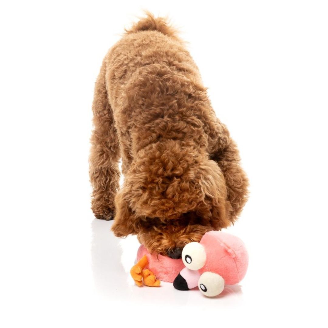 Fuzzyard-Neck-Minnit-Neckole-The-Flamingo-Hund4