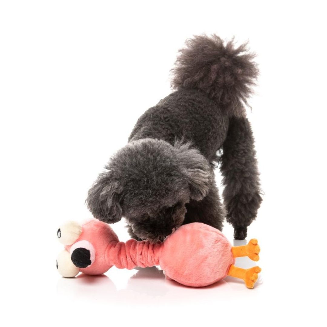 Fuzzyard-Neck-Minnit-Neckole-The-Flamingo-Hund5